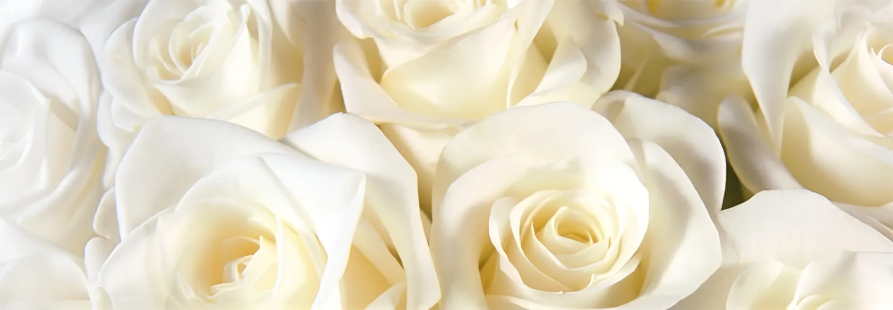 Beauty Treatments Promotions in Vevey